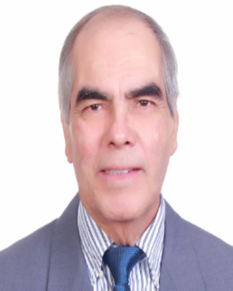 Nombre Presidente 2